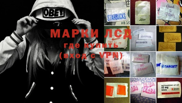 гидропоника Нея