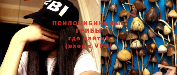гидропоника Нея