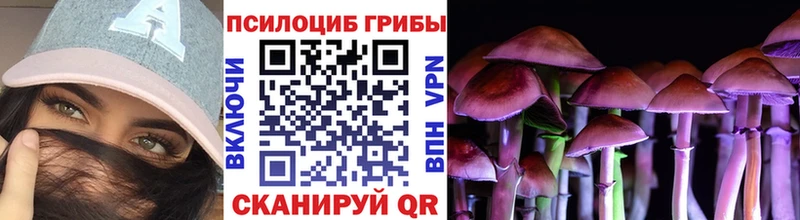 Псилоцибиновые грибы MAGIC MUSHROOMS  Кыштым 
