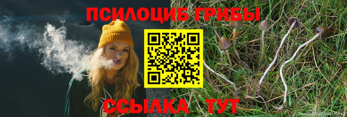 Кыштым  где купить наркоту  Вход с VPN  Галлюциногенные грибы мицелий 