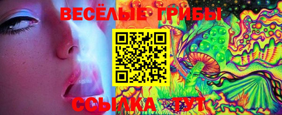Псилоцибиновые грибы GOLDEN TEACHER Кыштым